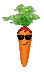 The Ever So Sexy Mr Carrot