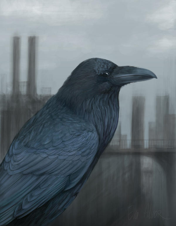 Raven by Alvor