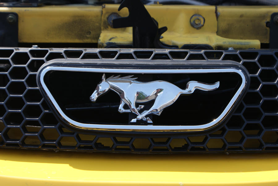 ford mustang logo. 5.0 SN-94 Ford Mustang