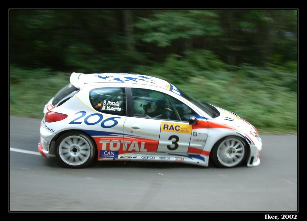Peugeot 206 Kit Car Rally